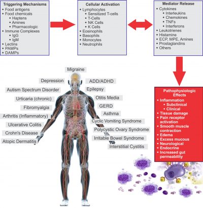how-food-sensitivities-cause-inflammation-chart-7-30-18