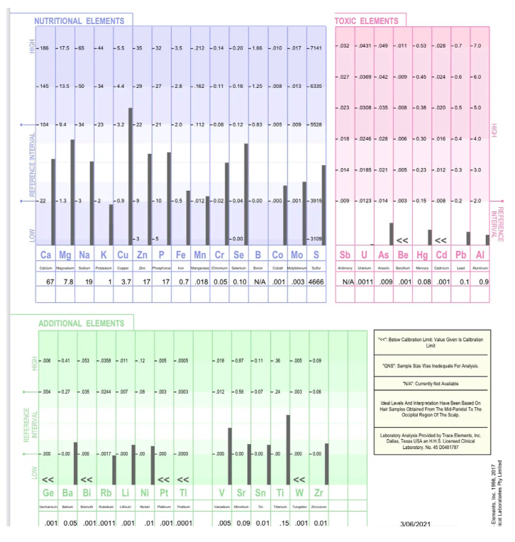 Hair Mineral Analysis